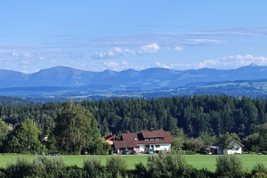 Ferienwohnung Trifts mit Blick auf die Alpen