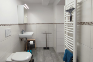 Waschbecken und WC im Badezimmer der Ferienwohnung