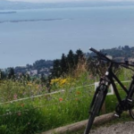 Fahrrad mit Blick auf den Bodensee, aufgenommen auf dem Radweg nach Lindau