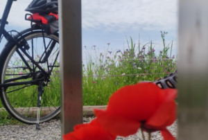 Mehr über den Artikel erfahren Radfahren Wangen im Allgäu