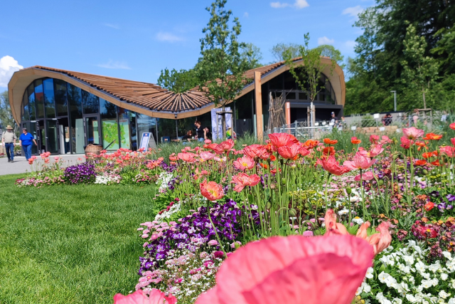 Du betrachtest gerade Landesgartenschau 2024 Wangen im Allgäu