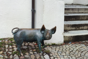 Weggelaufene Sau am Saumarkt in Wangen, nahe der Treppe zur Martinskirche